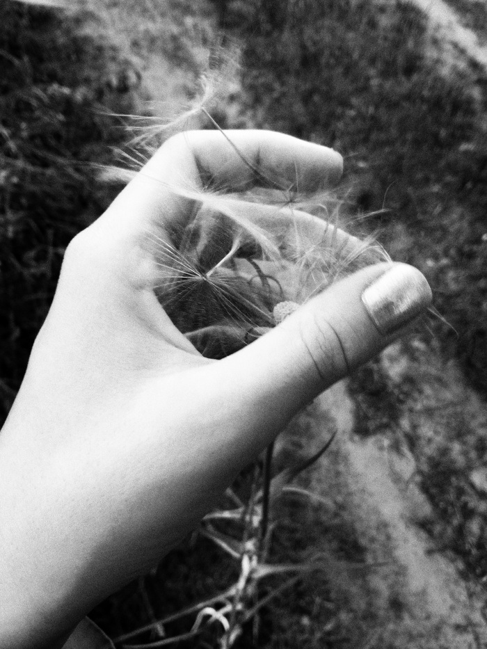 ������� ��������� ���� ���� ������ (��� ������� �������� 1 ���))...