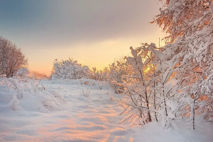 Winter gold - My, Leningrad region, The photo, Landscape, Snow, freezing, Nature, The nature of Russia