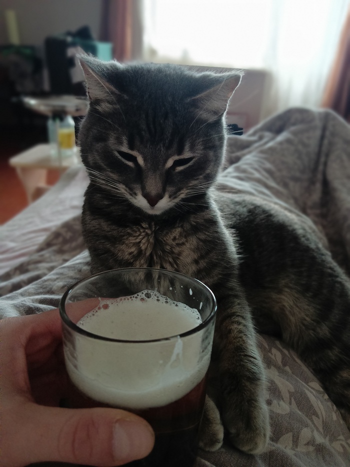 А вот и 33 декабрьнуло