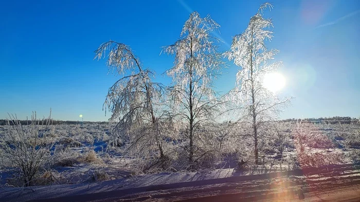 Winter road - Winter, Tree, The photo, Landscape