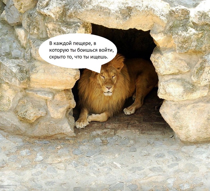 �� �����