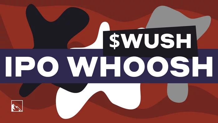 For the first time I participate in the IPO of shares and understand how it happens. Yes, it's Whoosh - My, Investments, Stock market, Stock exchange, Finance, Whoosh, Longpost