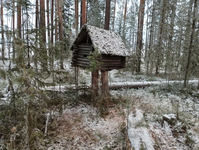 A hut on chicken legs - My, Izba, Chicken legs, Forest, The photo