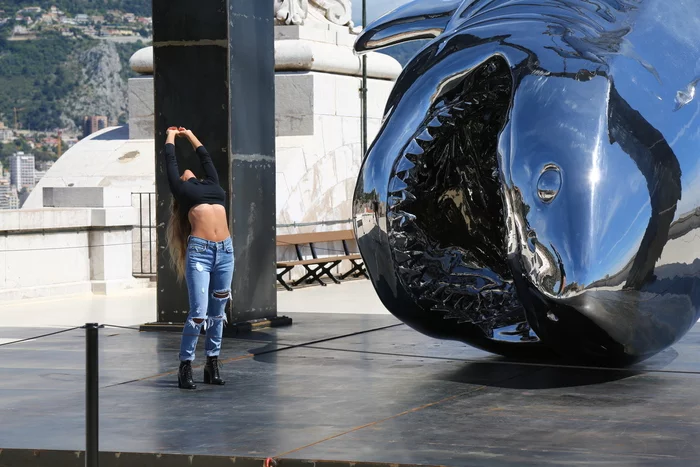 The little mermaid is no longer the same - My, Monaco, Museum, Longpost