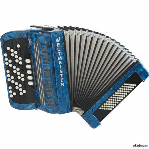 This is a button accordion - My, musical pause, Bayanometer