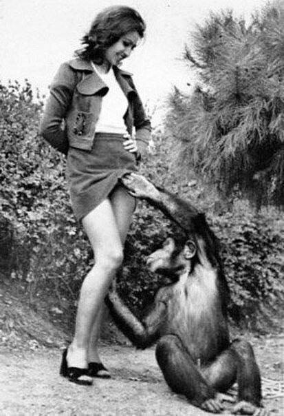 Looking for a banana - Interesting, The photo, Picture with text, Unusual, Animals, Monkey, Legs, Girls