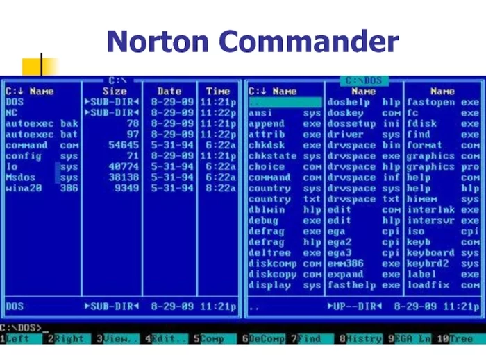 Removed drive C. Help - Wave of Boyans, Computer, Norton Commander