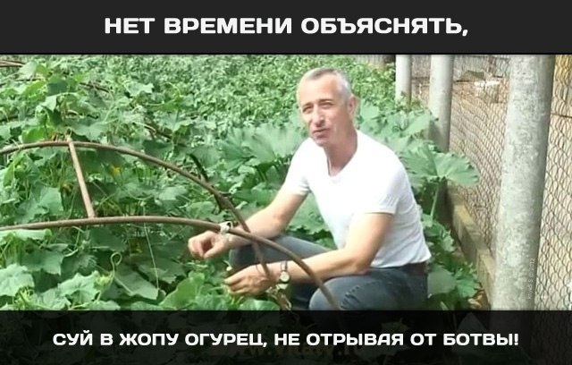 Innovations in the treatment of diseases - Wave of Boyans, The strength of the earth, Cucumbers, Dr. Popov
