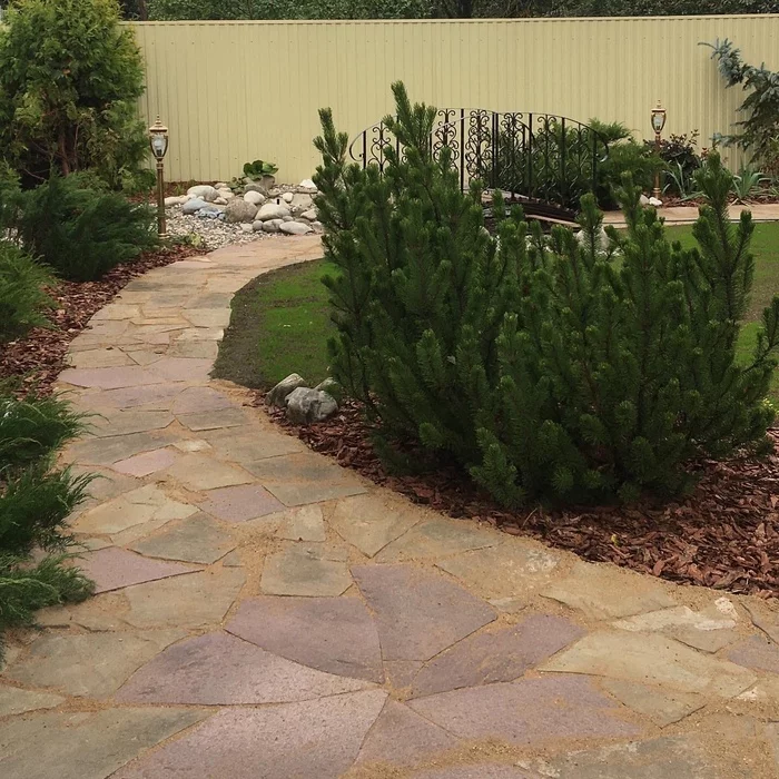 Landscaping is expensive, well, very expensive... - My, Landscape design, Dacha, Garden, Plants, Bloom, Garden, Harvest, Longpost