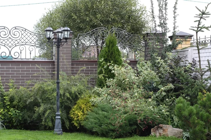 Landscaping is expensive, well, very expensive... - My, Landscape design, Dacha, Garden, Plants, Bloom, Garden, Harvest, Longpost