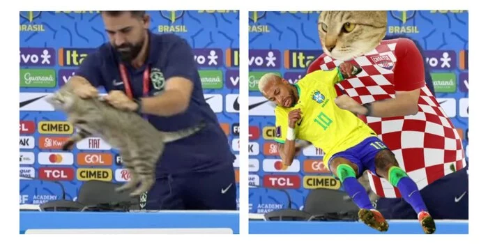 Don't hurt the cats! - cat, Football, Soccer World Cup, Memes, Karma, Croatia