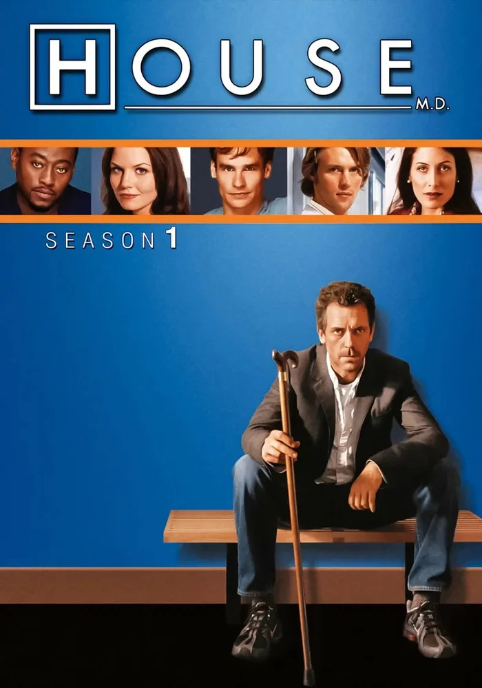 Guys. Look, we can't stop. The first season has already been released. - My, Serials, Wave of Boyans, Dr. House