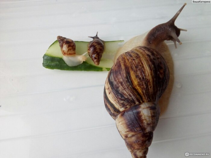 ����� �� ���� ���� � ��������� ������ ��������