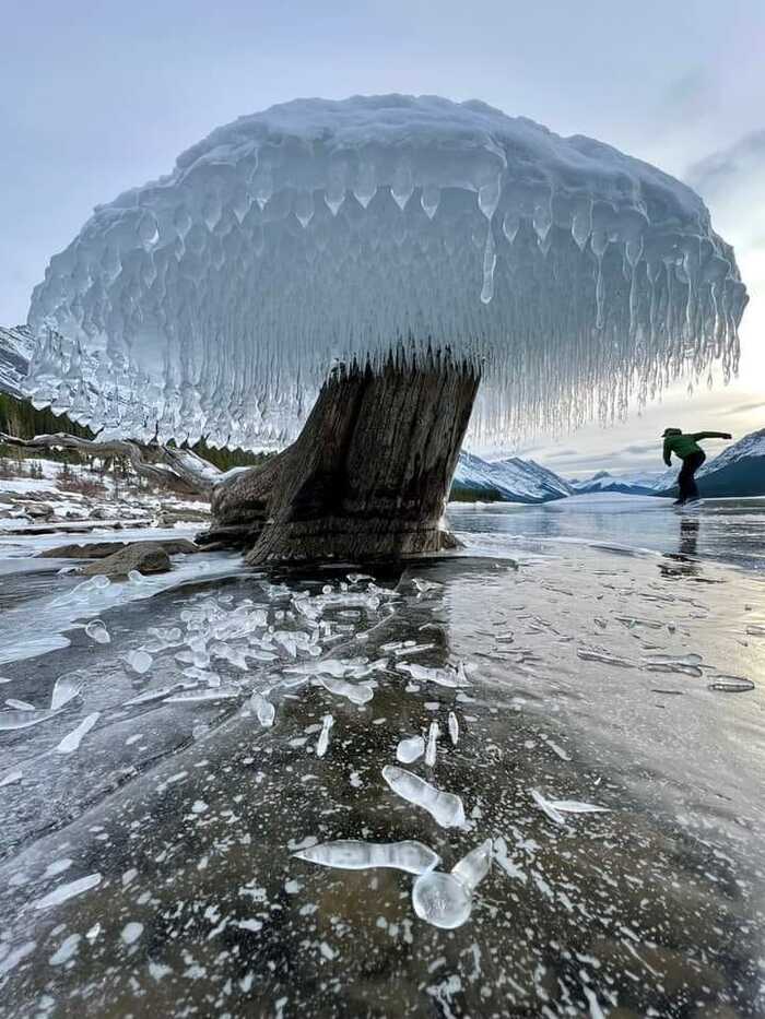 Ледяные "грибы-гиганты" Лед, Холод, Сосульки, Айсберг, Грибы, Сходство, Фотография, Длиннопост