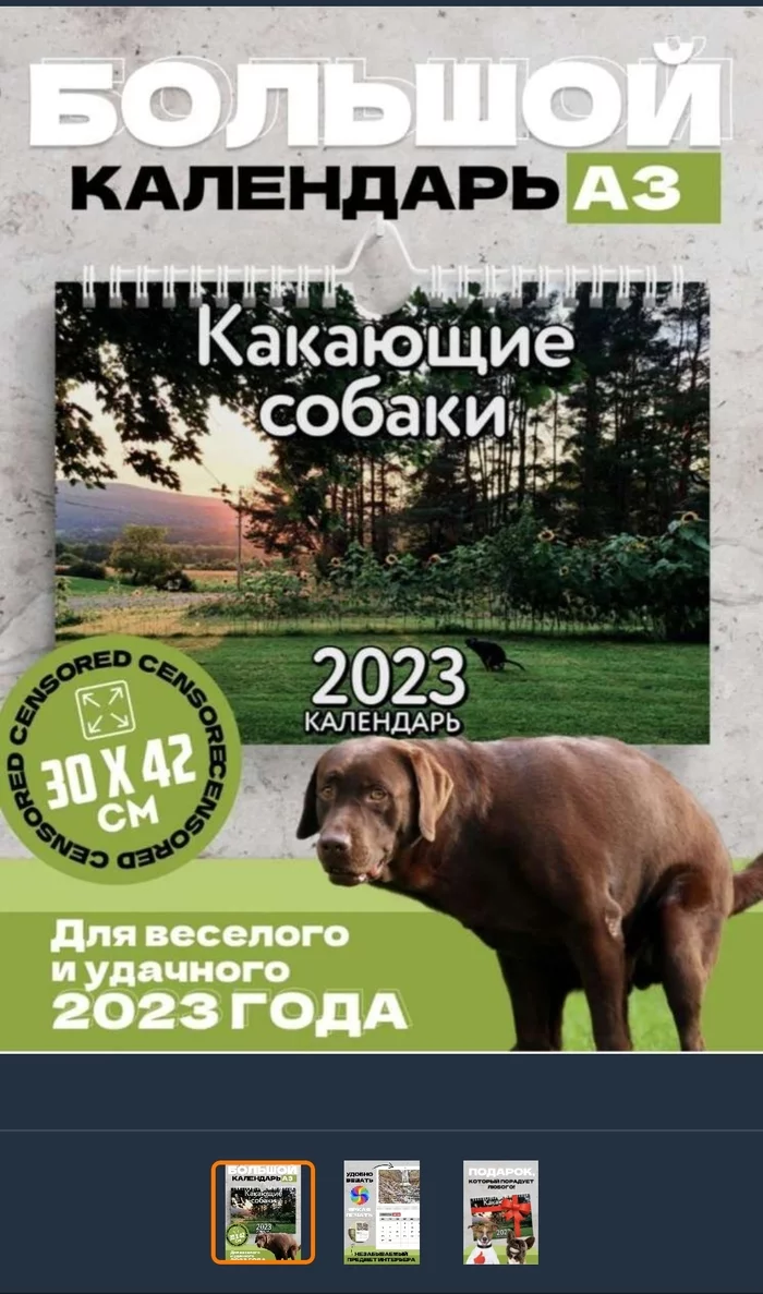 Calendar 2023 - The calendar, Dog, 2023