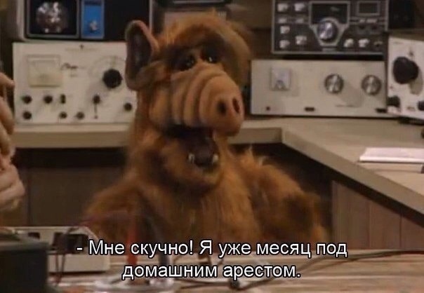 Alf - Picture with text, Storyboard, Humor, Alf, Vandalism, Repeat