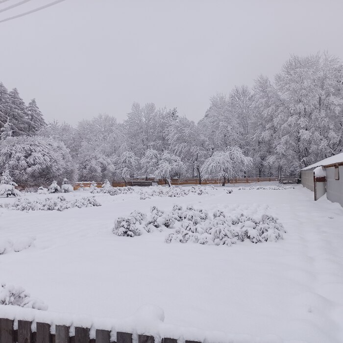 Зимние красоты