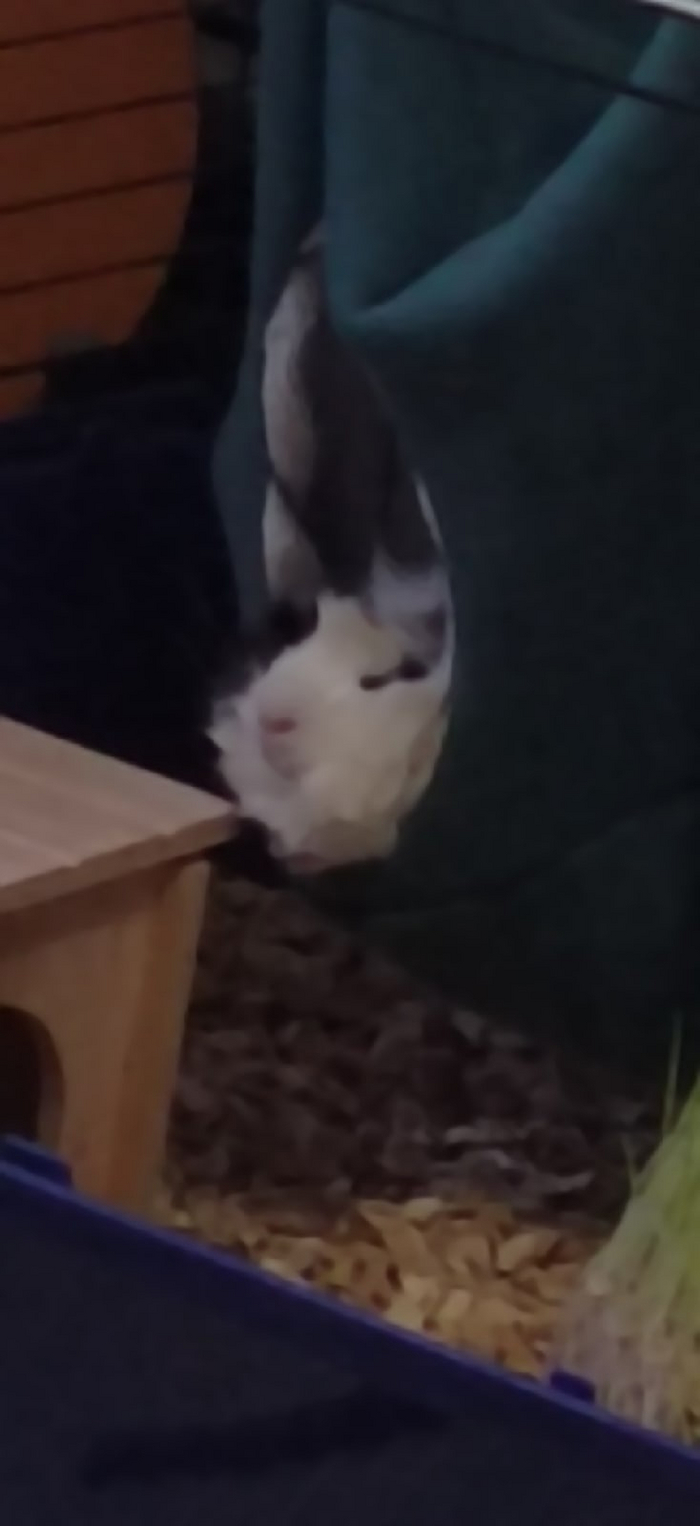       ,  ,   ,  , , 