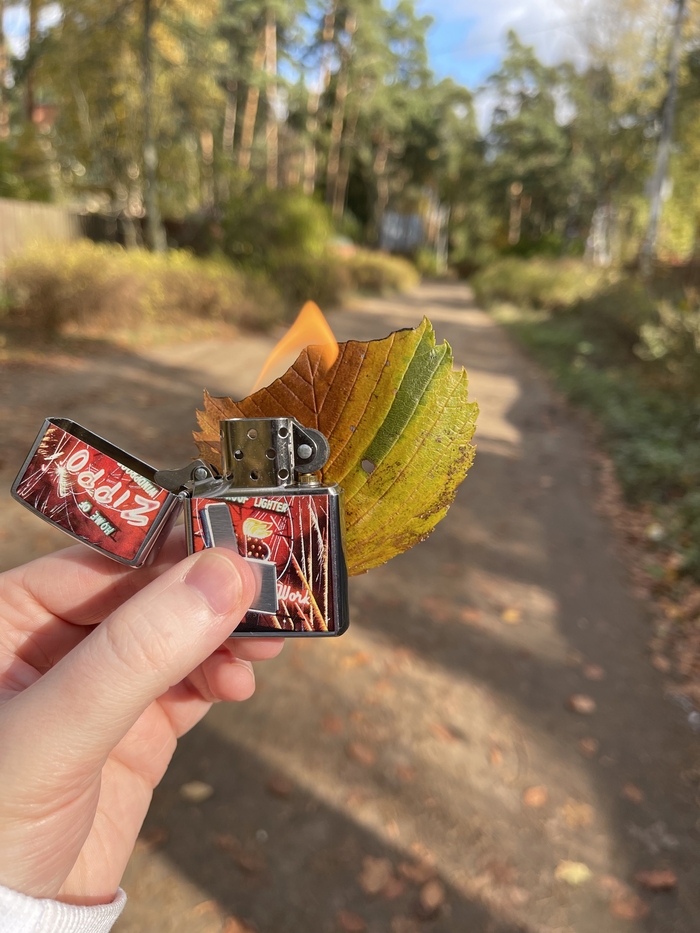  Zippo Zippo, , , 
