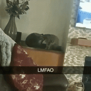     , , , 