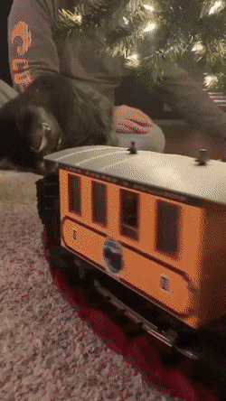      , , , 