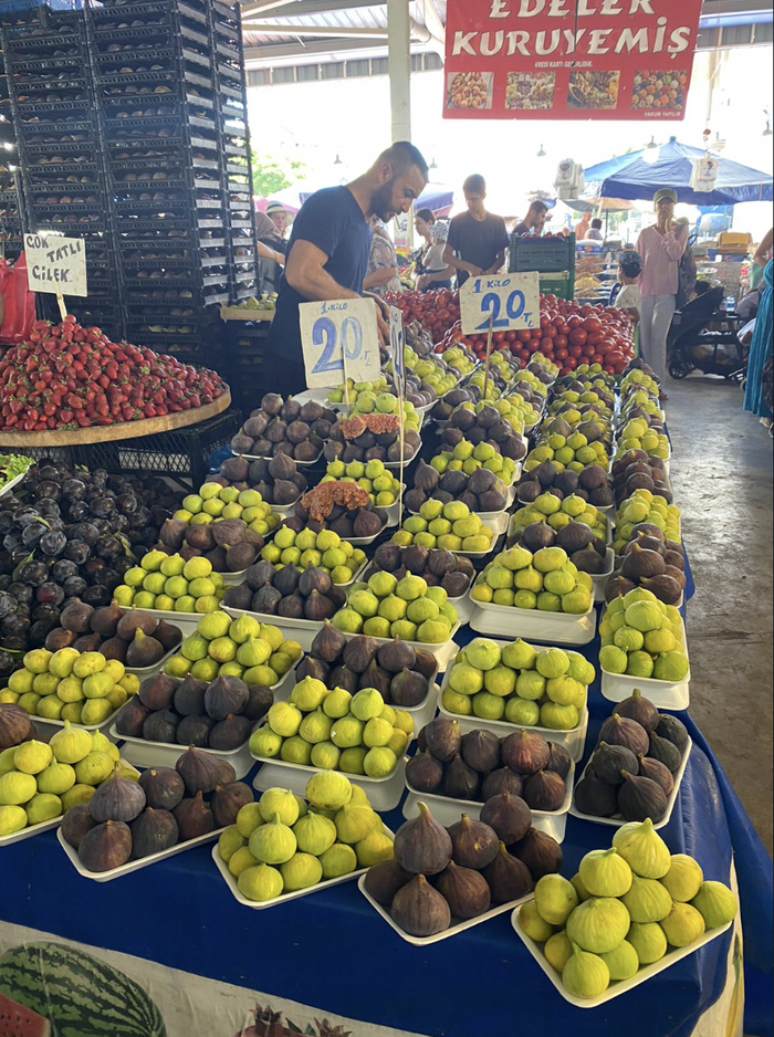 Турция: плюсы и плюсы Турция, Путешествия, Длиннопост