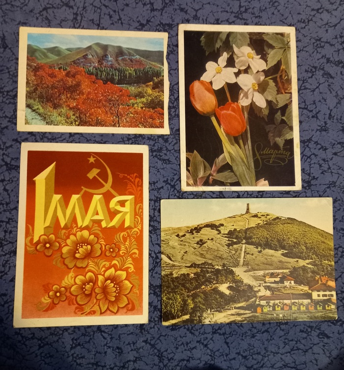 ������ ��������