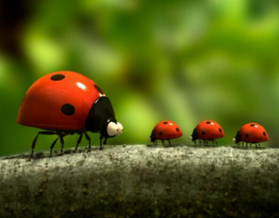 Весёлый мульт от франзузов - Minuscule