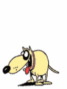   ,      , , , , , 