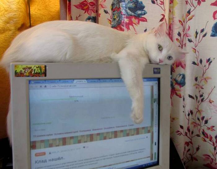 ����� �������