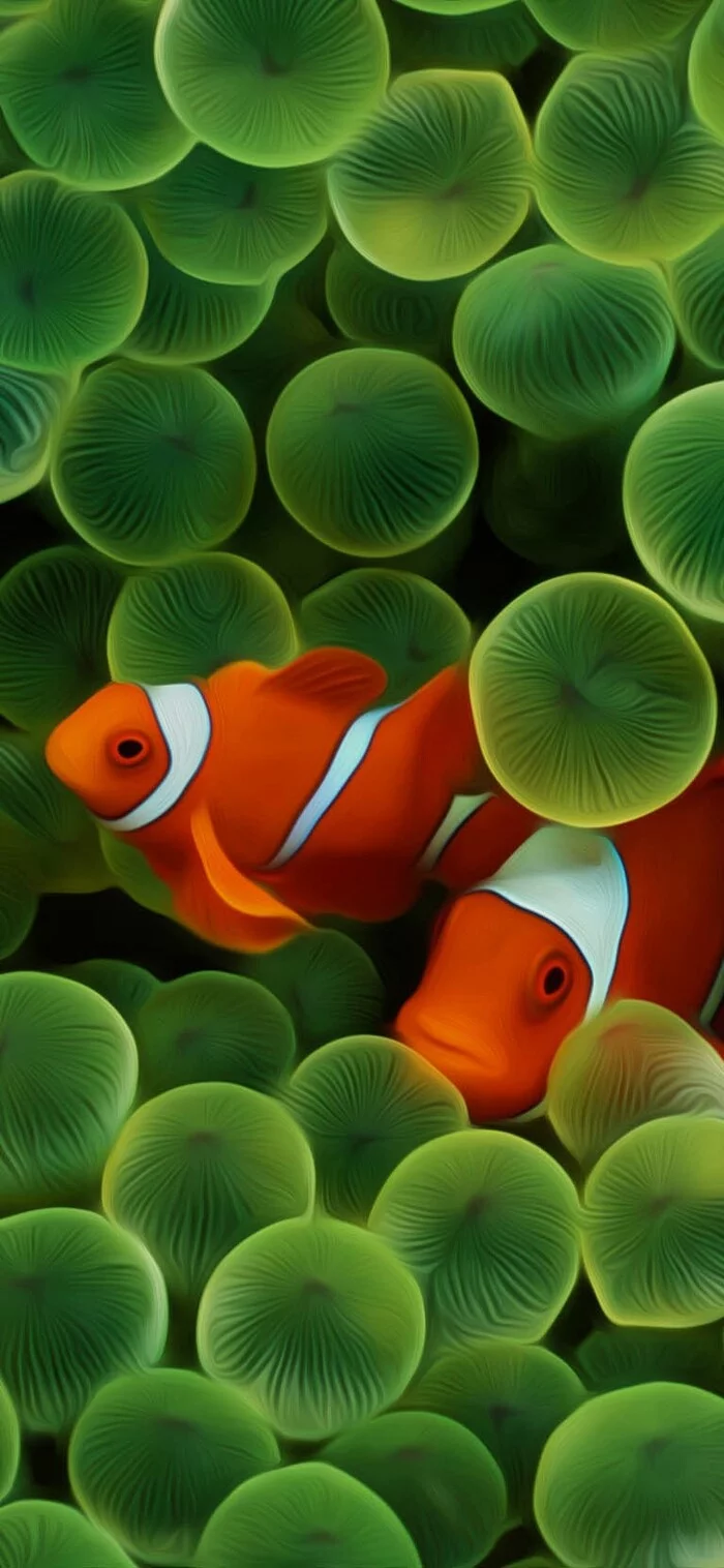 Fresh wallpaper for new iphone - Wave of Boyans, Wallpaper, iPhone, Clownfish, Longpost