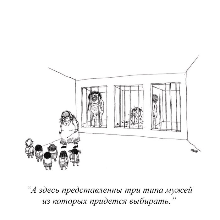      ,  , The New Yorker, 
