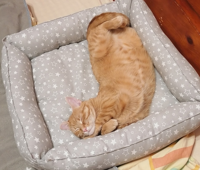 ������� �� ��������