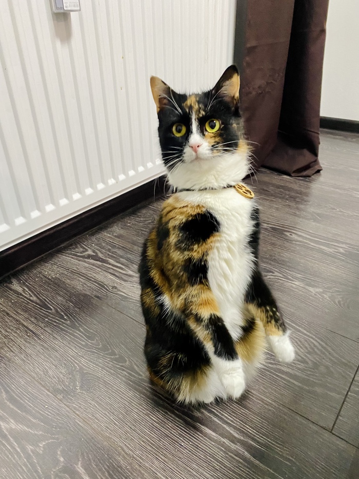 �������)