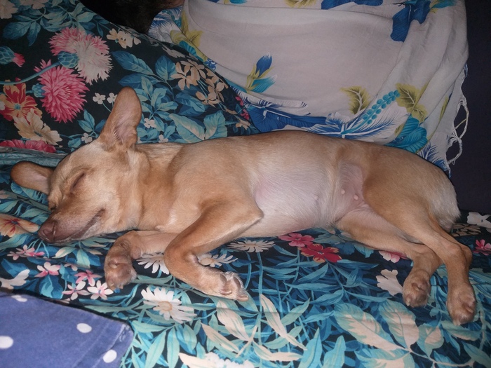 Просто оставлю это сдесь