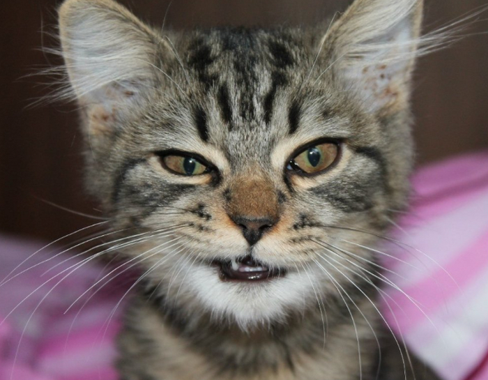 ���������� ��� �� �����