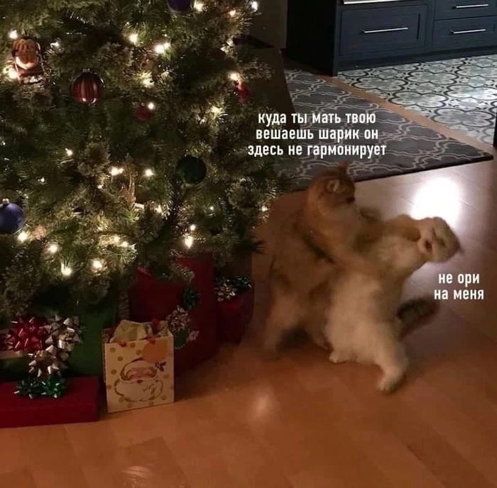 Скоро в каждом доме страны