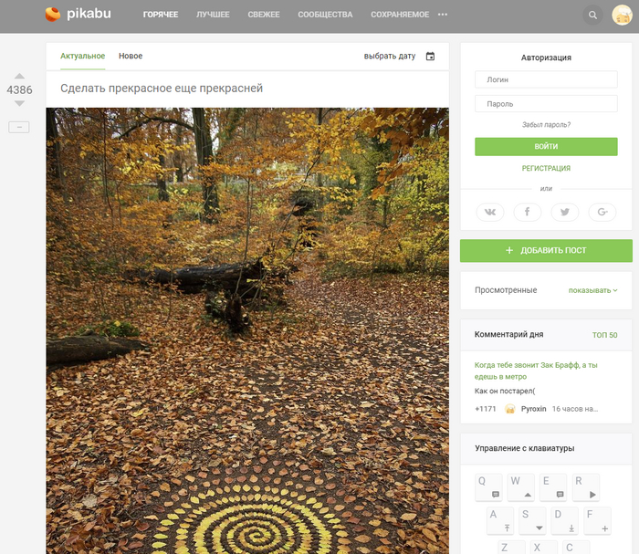 �������� ����� ����