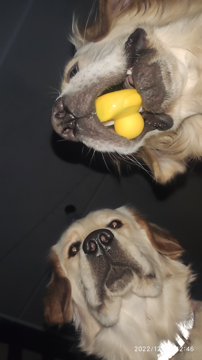 "�����, �������, �� �� �������" (������� ������)