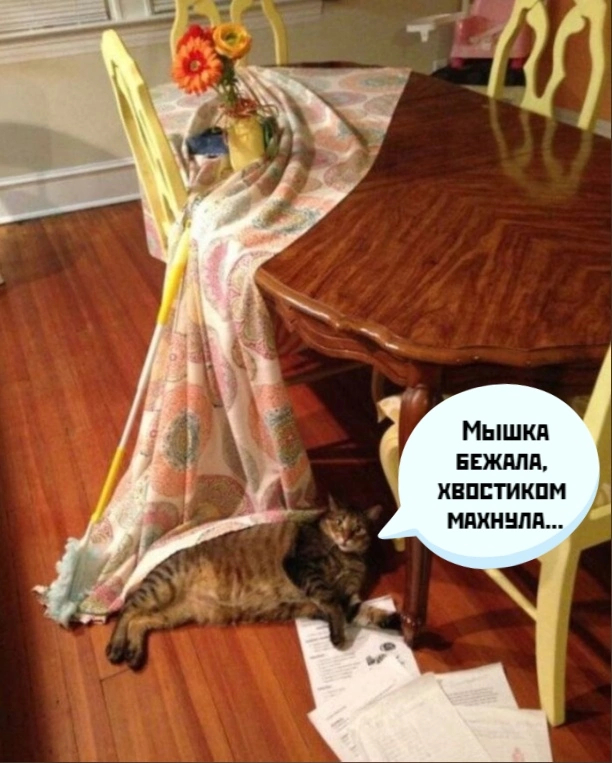 ����� �� �����, ����� �� �����))