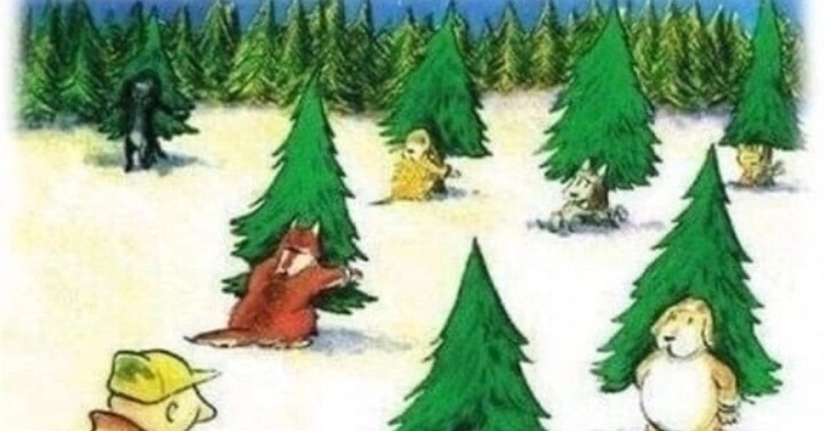 в лесу родилась в лесу живет. стихи про зимнюю елку. жила в лесу елочка. пеньки от елок. в лесу продиласьелочка.