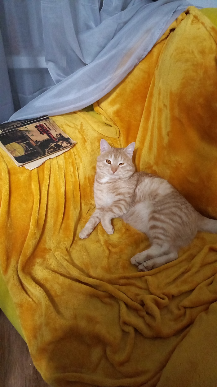 Крестный котец