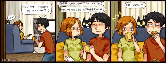 Look what a lovely artist I found! (5) - Wave of Boyans, Comics, Web comic, Lin, Bash im, Longpost