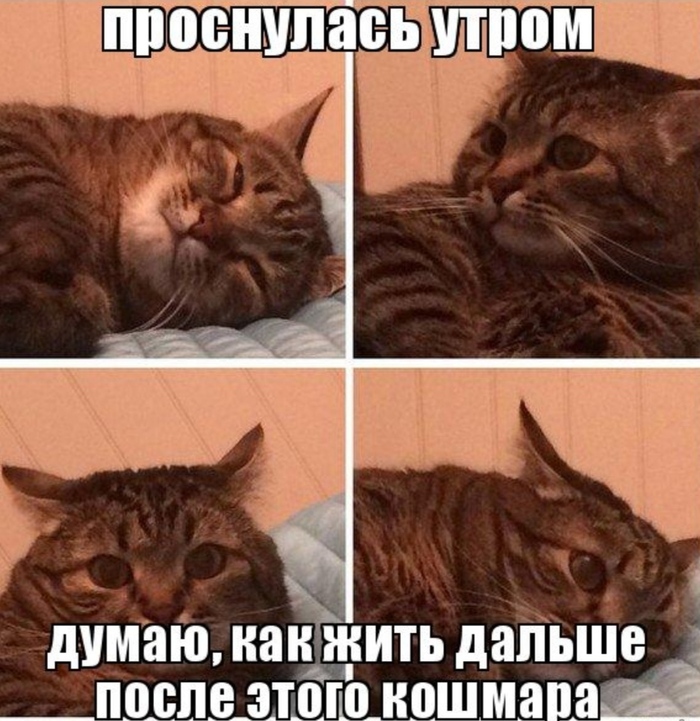 � ������� ���� ��� #���������������������