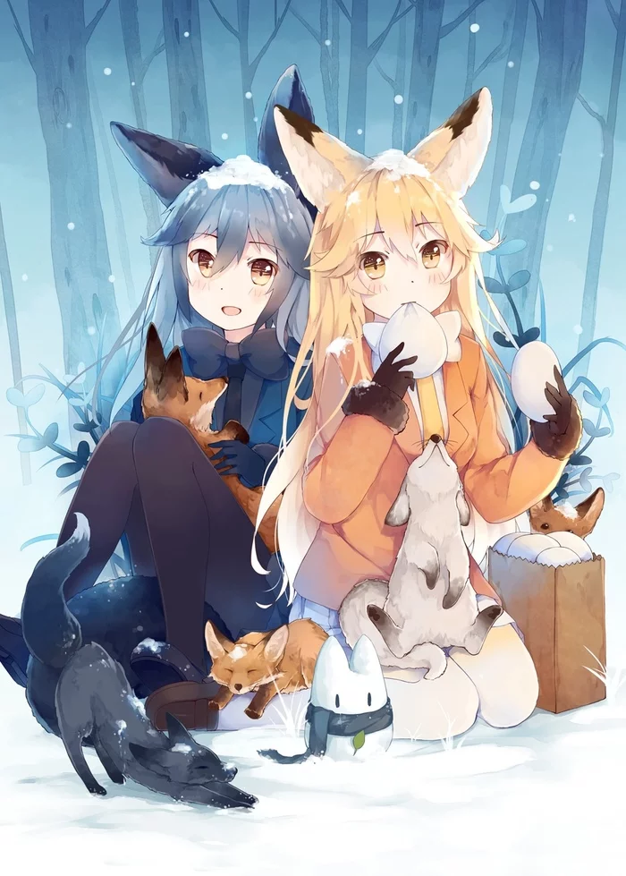 Two foxes - Anime, Anime art, Kemono friends, Ezo Red Fox, Silver Fox