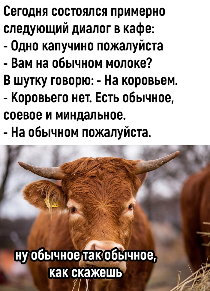 Рубрика: сведи с ума с утра