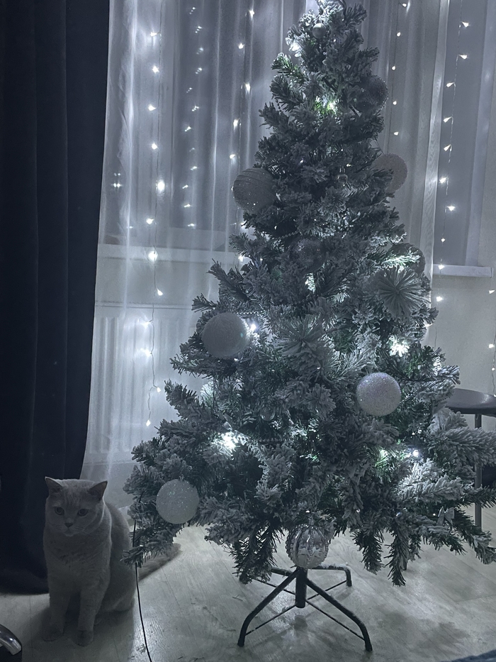 Показательное безразличие