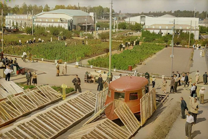Верблюды, пальмы и табачные поля — таким был ВДНХ (ВСХВ) при открытии. Исторические фотографии 1939 года Колоризация, Старое фото, Архитектура, Достопримечательности, СССР, 1930-е, ВДНХ, Ввц, Всхв, Москва, История, Длиннопост