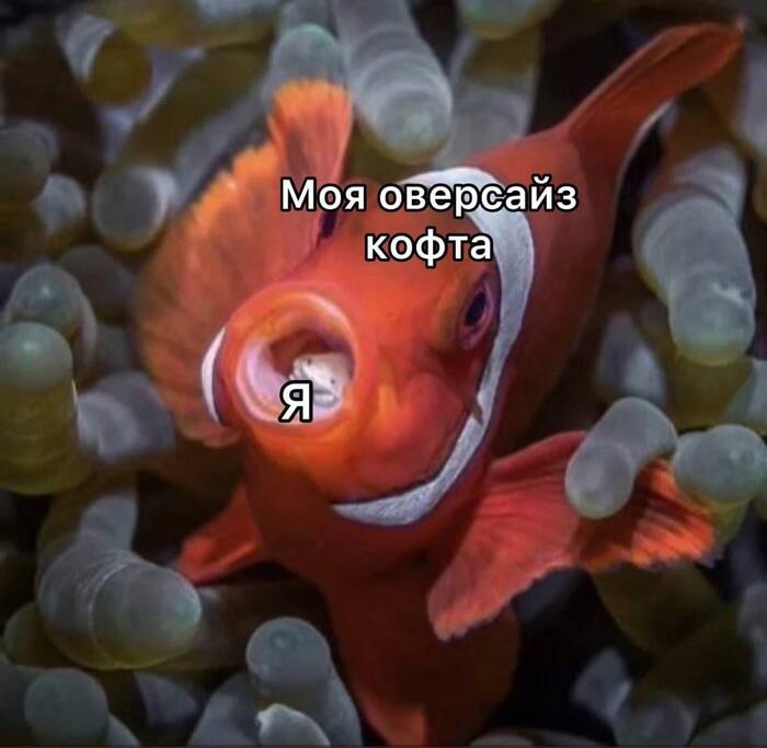   ,   , , , 