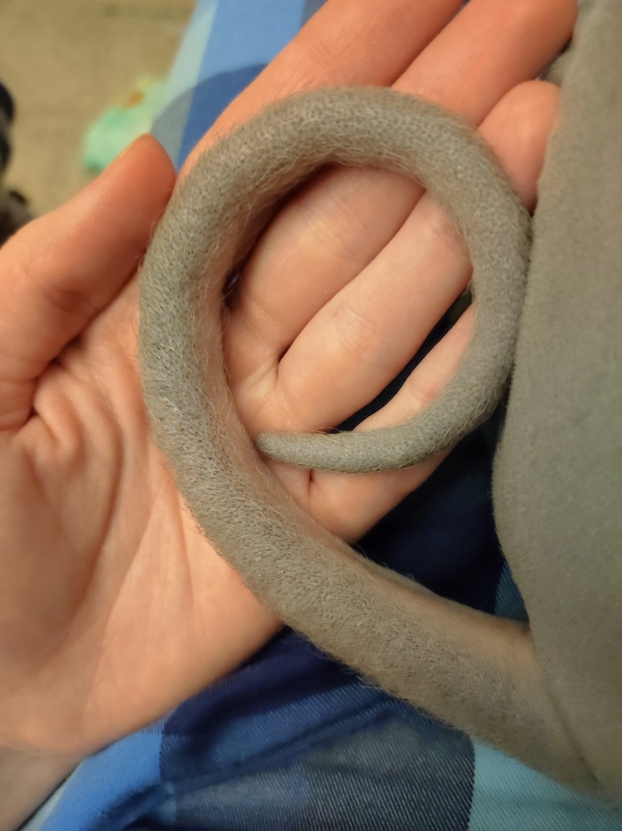 ������ �����